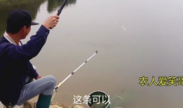 钓鱼视频,揭秘钓鱼视频中的精彩瞬间